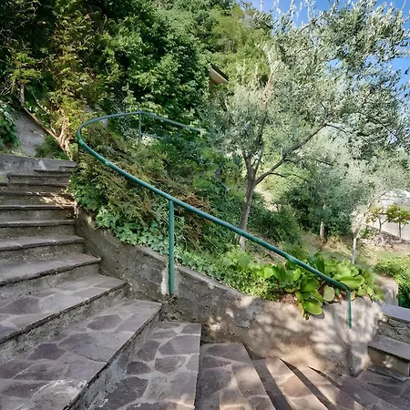 Daire Casa Vista